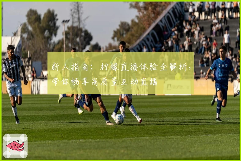 新人指南:柠檬直播体验全解析,带你畅享高质量互动直播