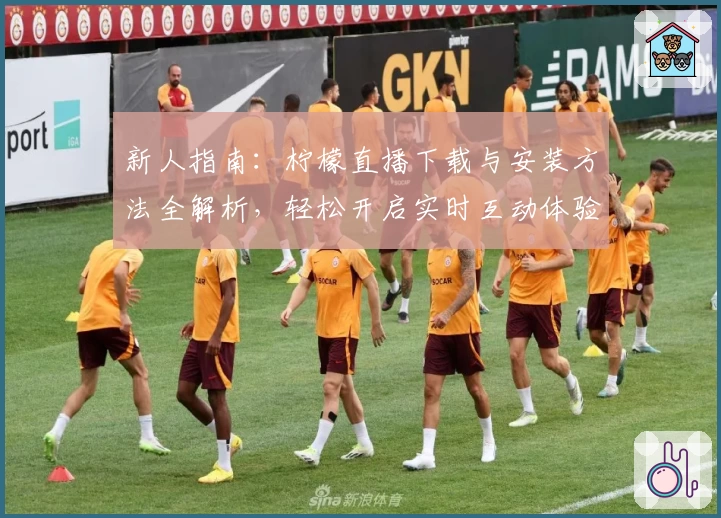 新人指南：柠檬直播下载与安装方法全解析，轻松开启实时互动体验