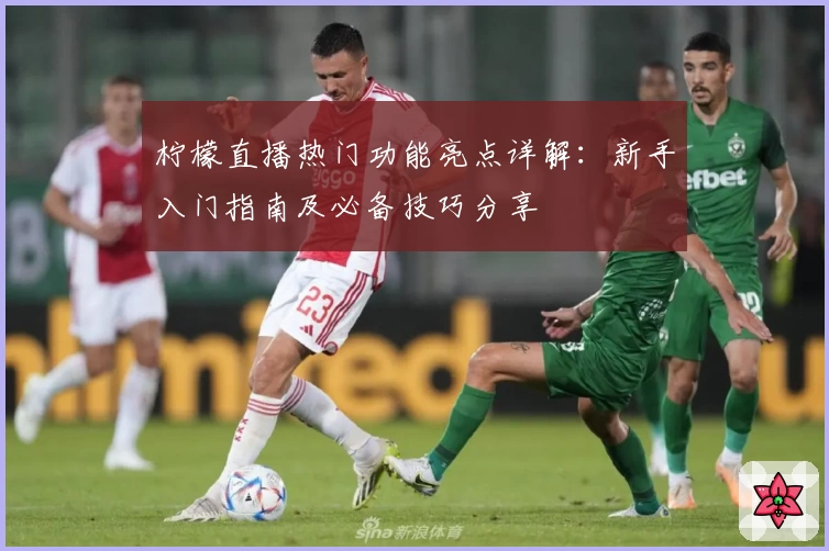 柠檬直播热门功能亮点详解：新手入门指南及必备技巧分享