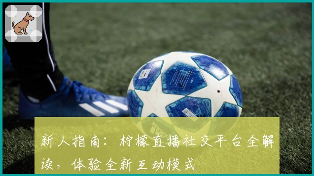 新人指南：柠檬直播社交平台全解读，体验全新互动模式