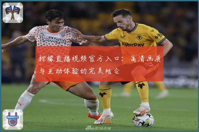 柠檬直播视频官方入口：高清画质与互动体验的完美结合